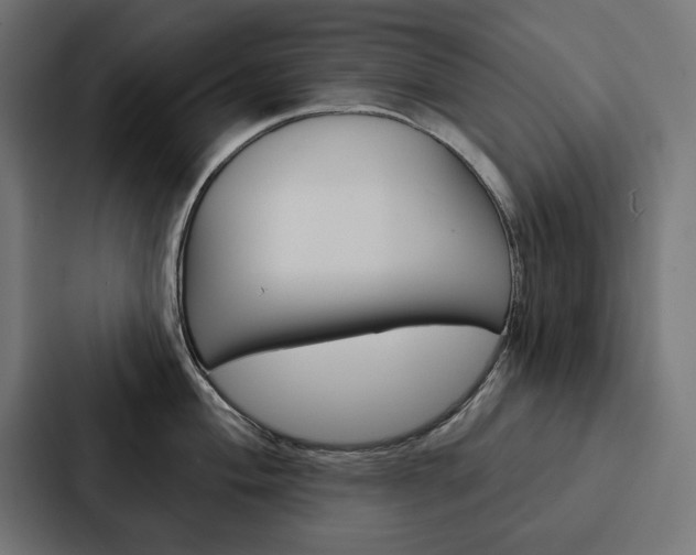 X0000088181004200705150936