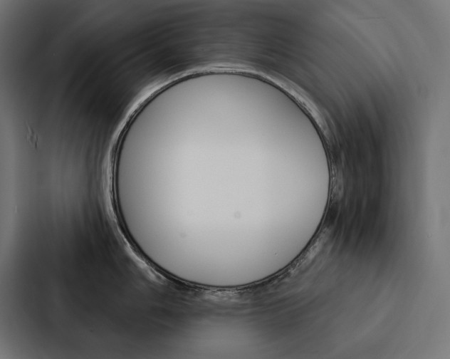X0000088181006200705150936