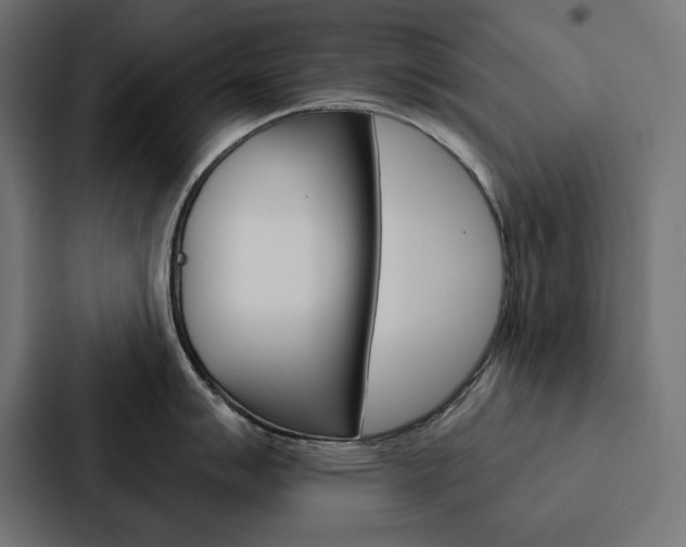 X0000088181007200705150936