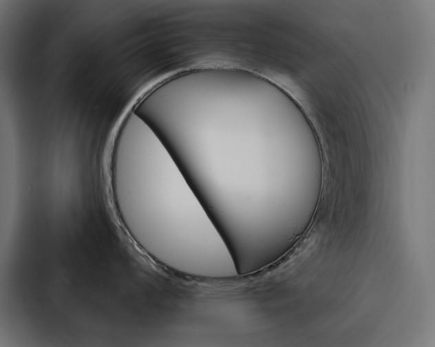 X0000088181008200705150935