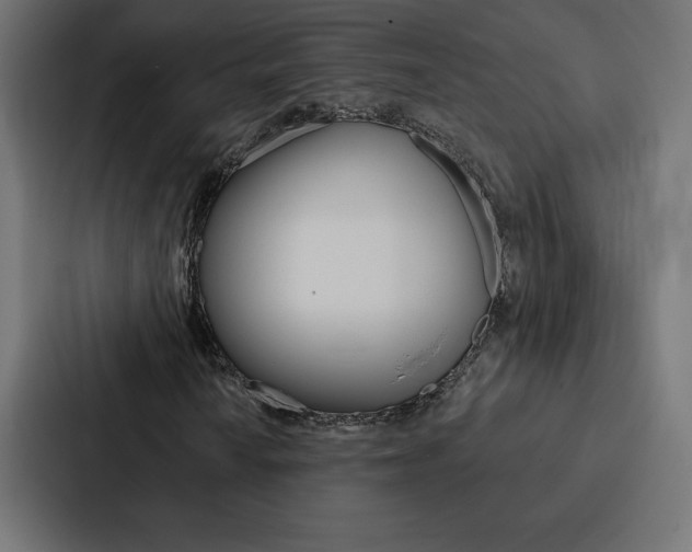X0000088181010200705150935