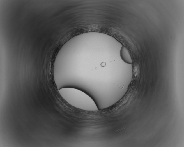 X0000088181011200705150935