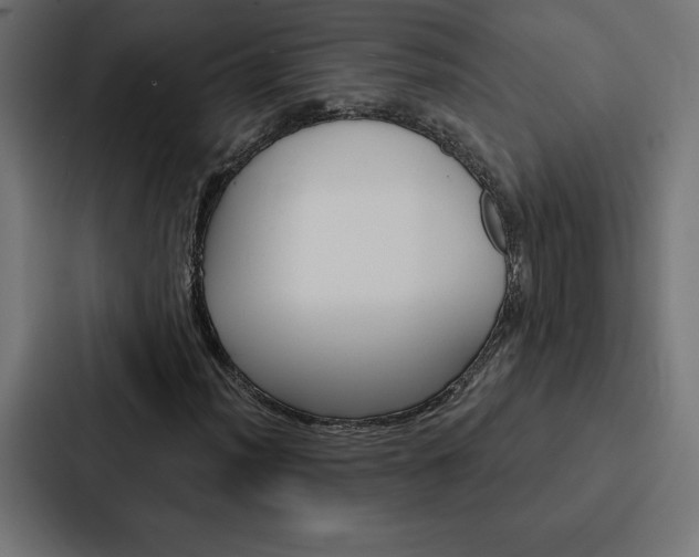 X0000088181012200705150935