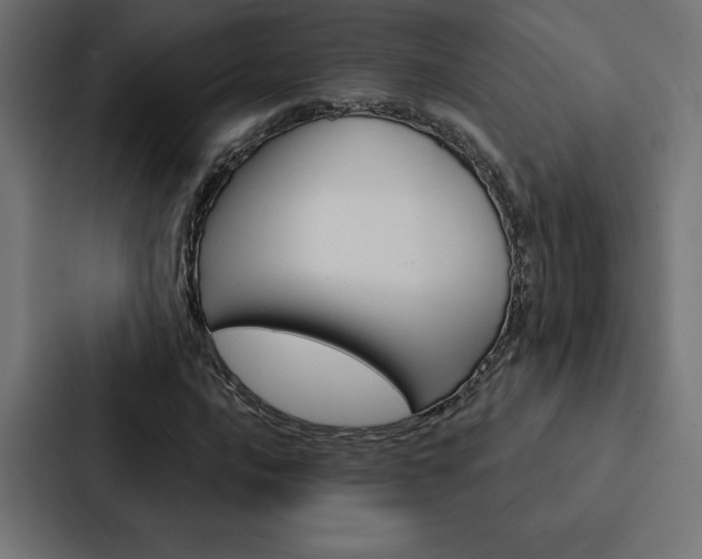 X0000088181016200705150935