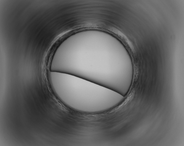 X0000088181019200705150935