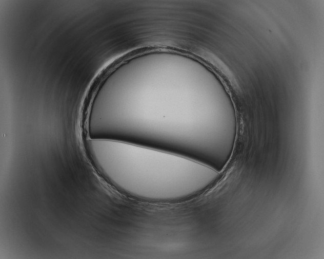 X0000088181020200705150935