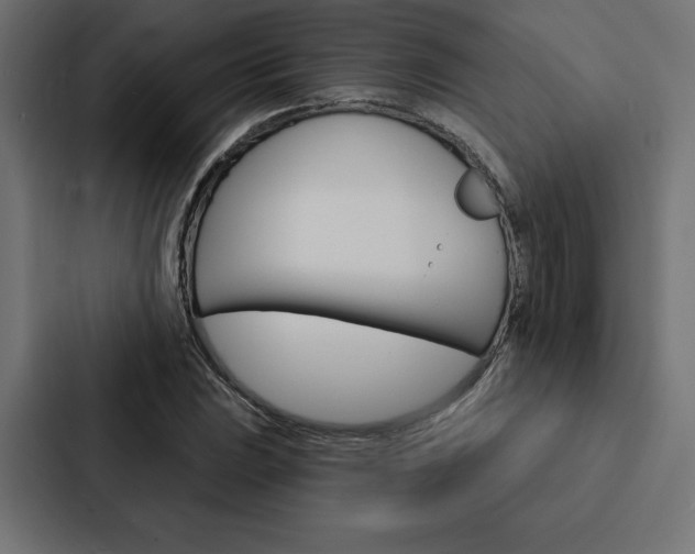 X0000088181023200705150935