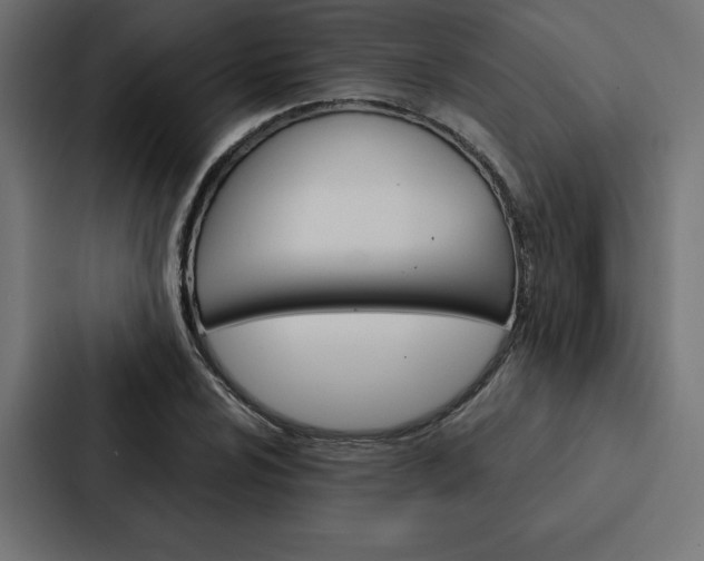 X0000088181024200705150935