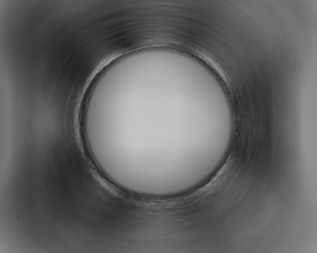 X0000088181026200705150935