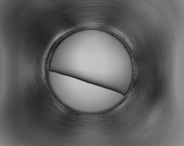 X0000088181027200705150935