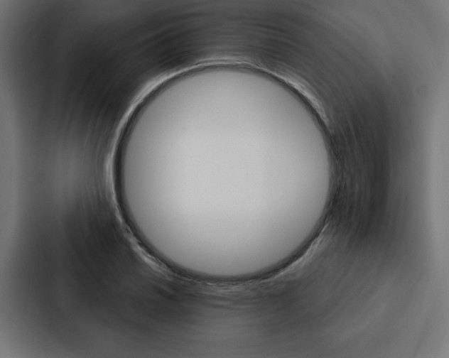 X0000088181030200705150935