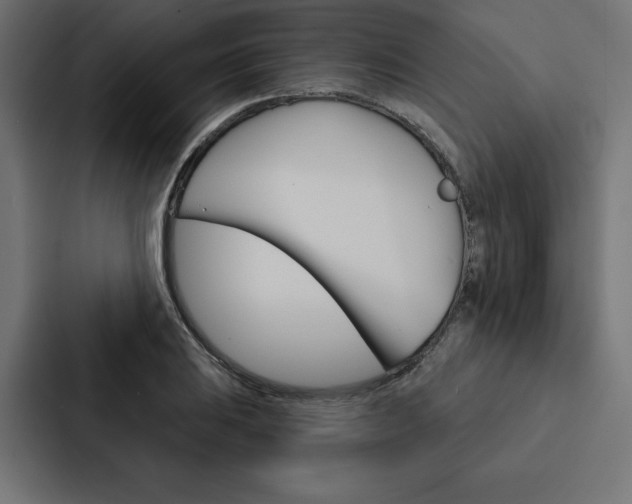 X0000088181031200705150935
