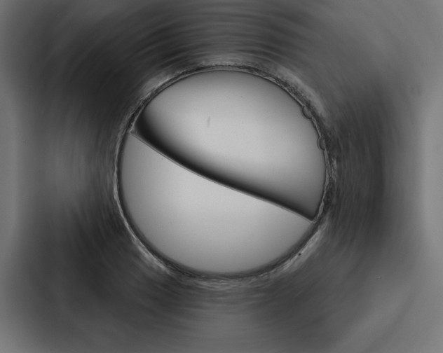 X0000088181033200705150935