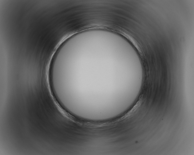 X0000088181034200705150935