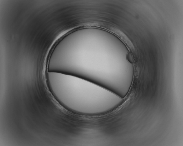 X0000088181036200705150935