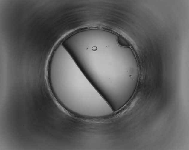 X0000088181037200705150935