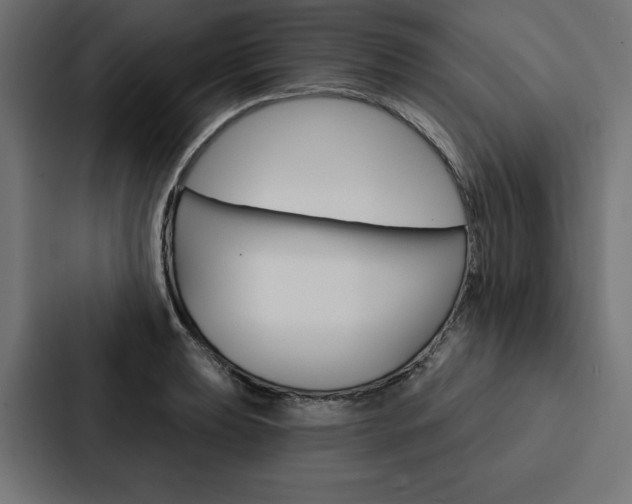 X0000088181039200705150935