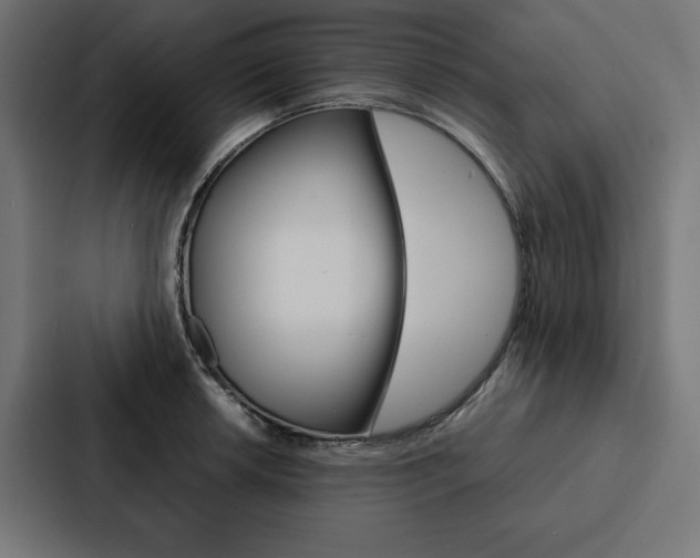 X0000088181042200705150935