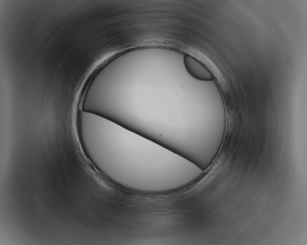 X0000088181043200705150935