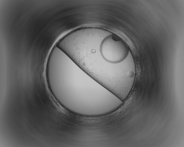 X0000088181044200705150935