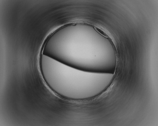 X0000088181045200705150935