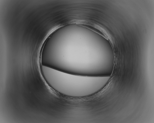 X0000088181050200705150935
