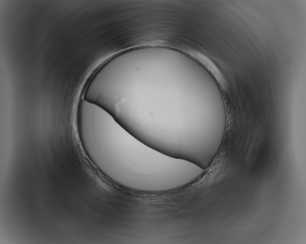 X0000088181051200705150935