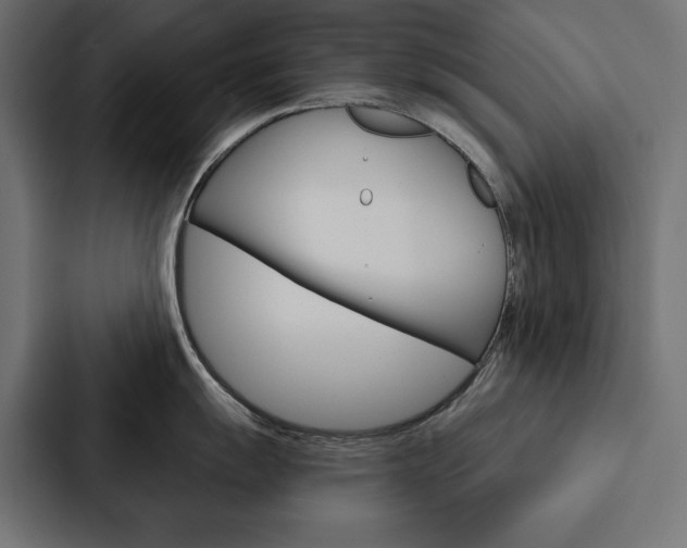 X0000088181055200705150935