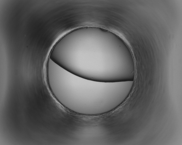 X0000088181056200705150935