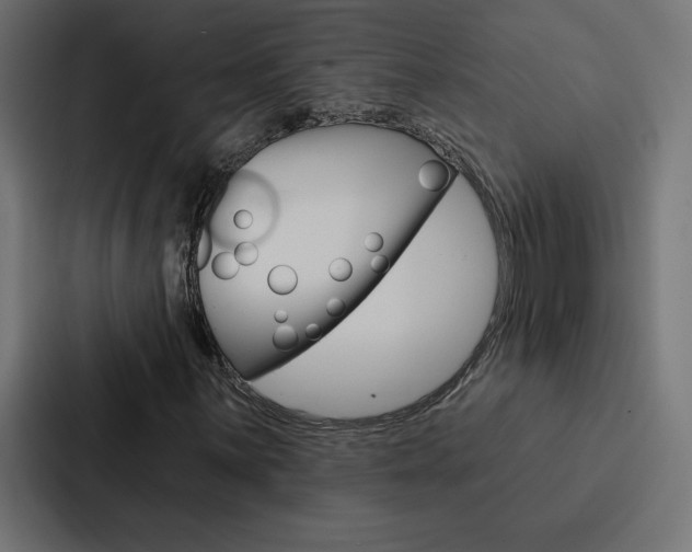 X0000088181059200705150935