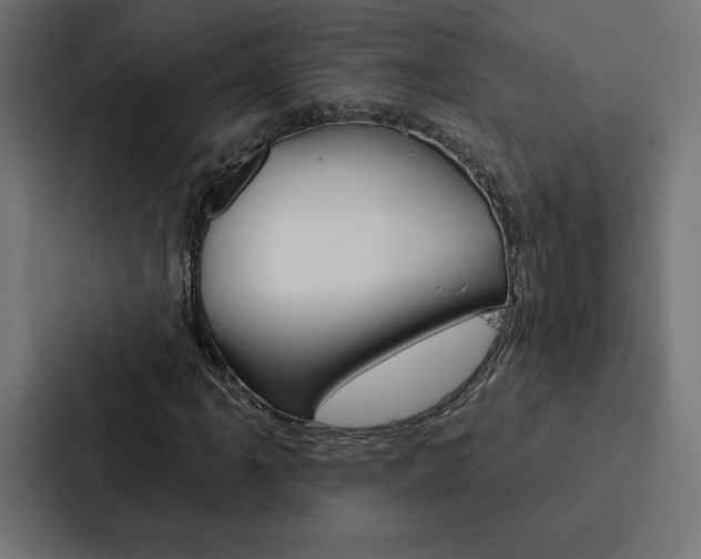 X0000088181061200705150935