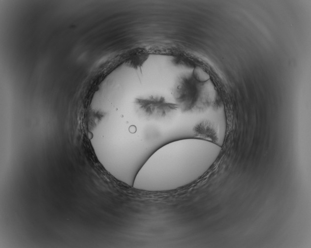 X0000088181063200705150935