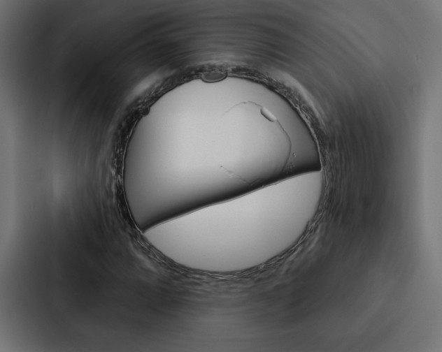 X0000088181064200705150935