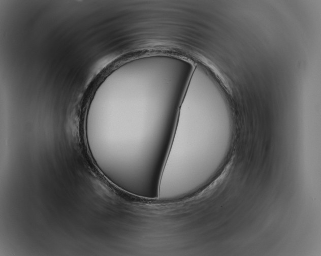 X0000088181066200705150935