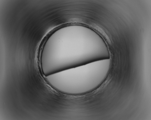 X0000088181068200705150935