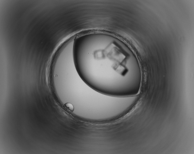X0000088181069200705150935