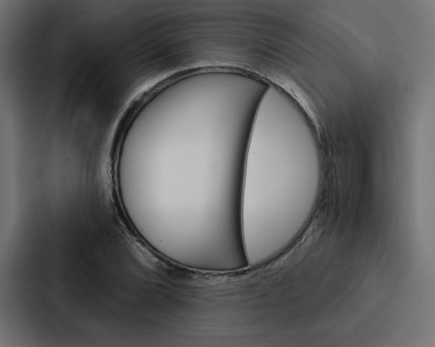X0000088181072200705150935