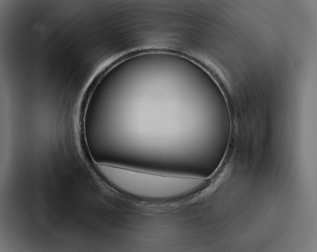 X0000088181077200705150935