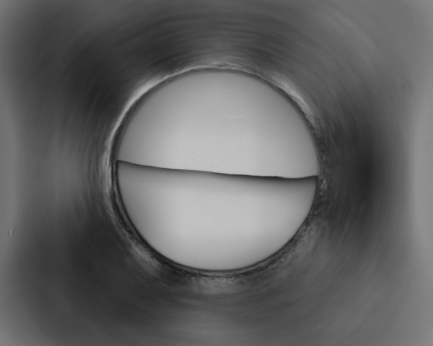 X0000088181079200705150935