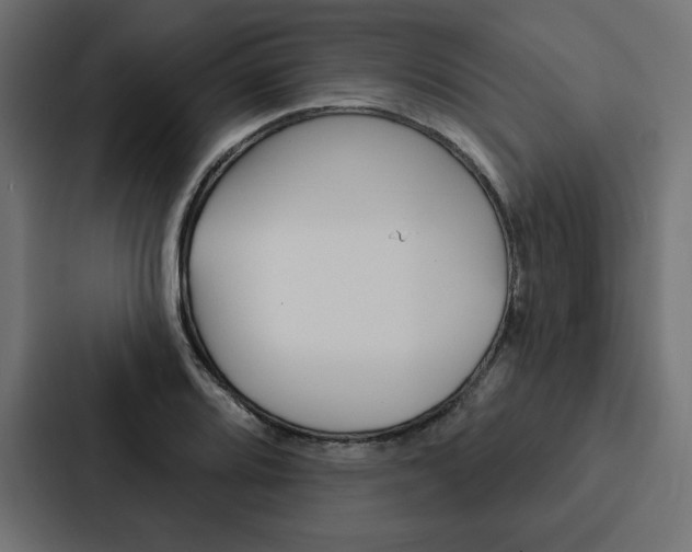 X0000088181080200705150935