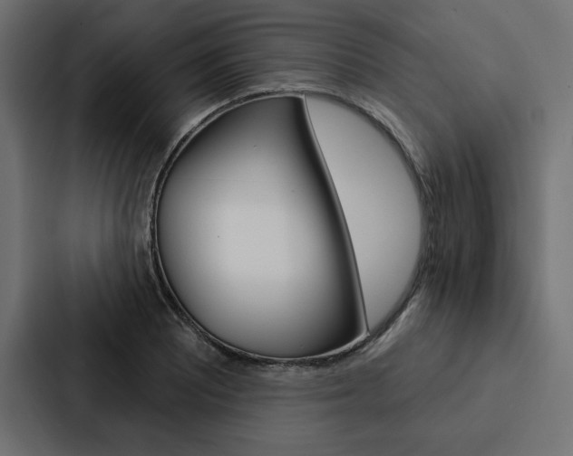 X0000088181081200705150935