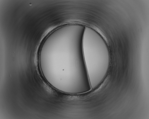 X0000088181082200705150935