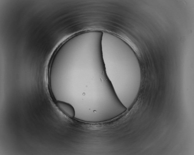 X0000088181084200705150935