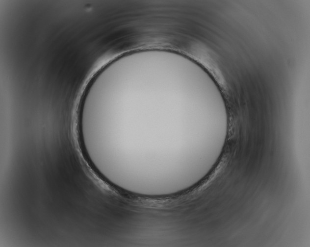 X0000088181086200705150934