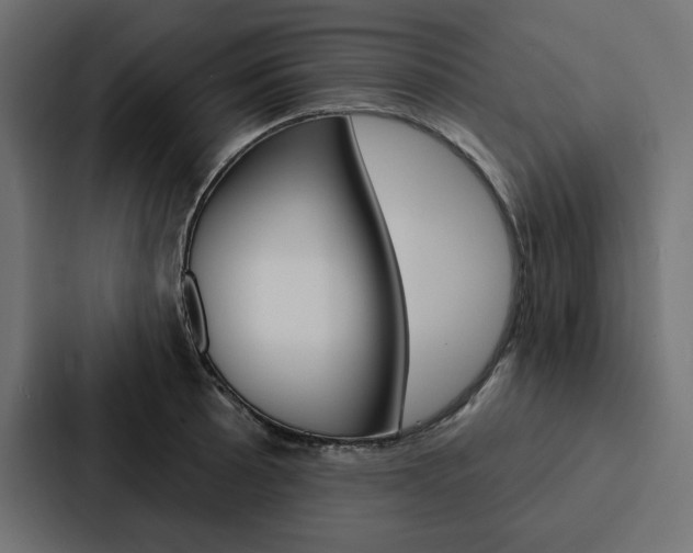 X0000088181089200705150934