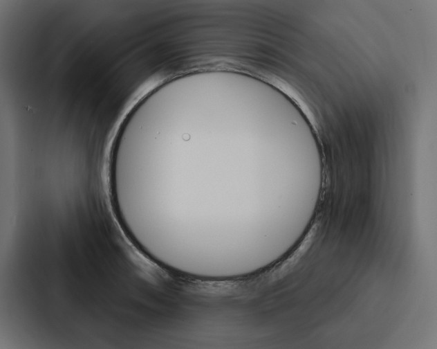 X0000088181090200705150934