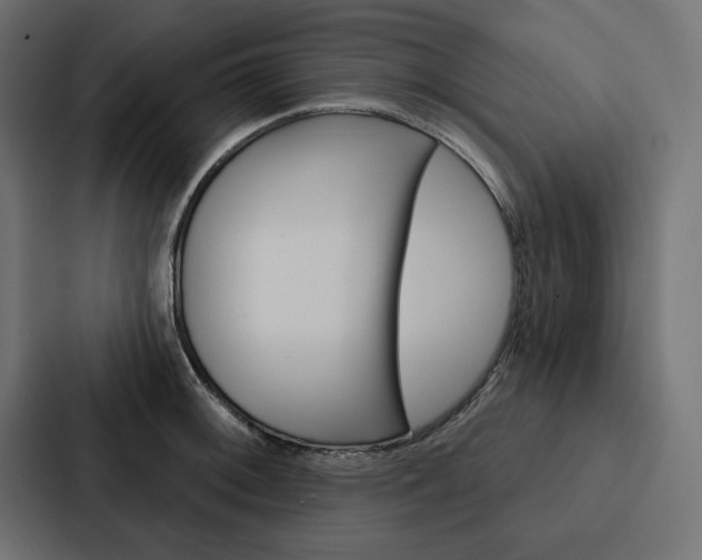 X0000088181092200705150934