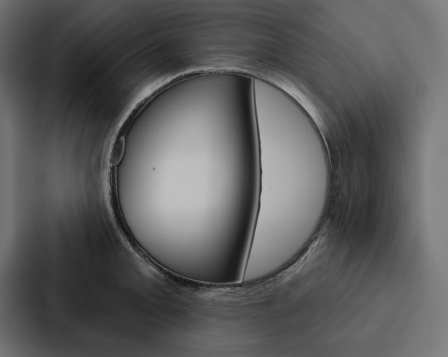 X0000088181093200705150934