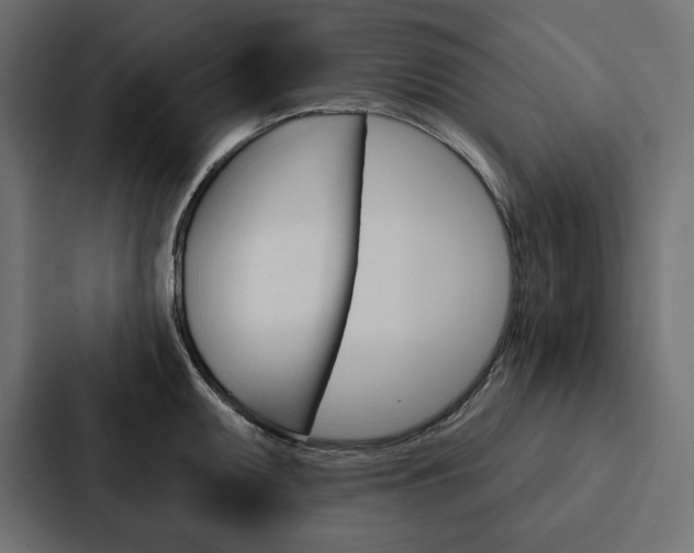 X0000088181095200705150934