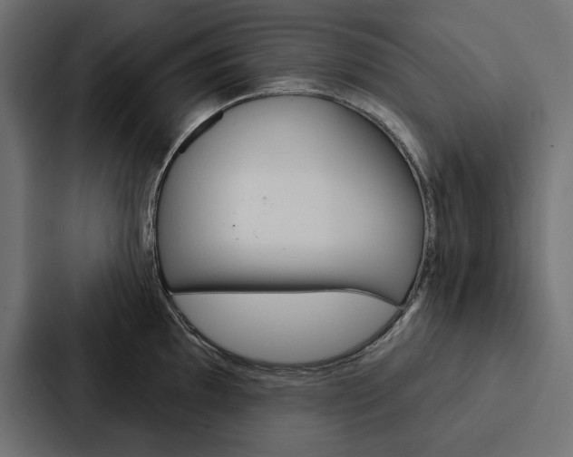 X0000088181097200705150934